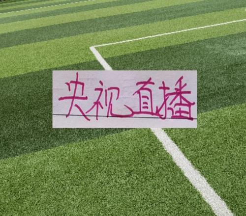 时间又撞上!中超第13轮CCTV直播成都VS海港跟大连比赛只能2选1