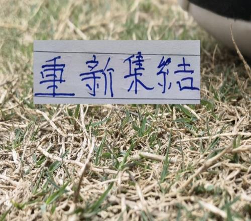 申花重新集结！足协杯+第16轮面对马莱莱能迎来全胜战绩吗