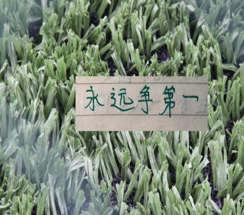 意外！第13轮中超传球成功率前5都没有赢！