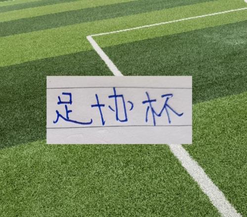 6月足协杯赛程出炉！中超豪门申花海港北京国安山东都是客场