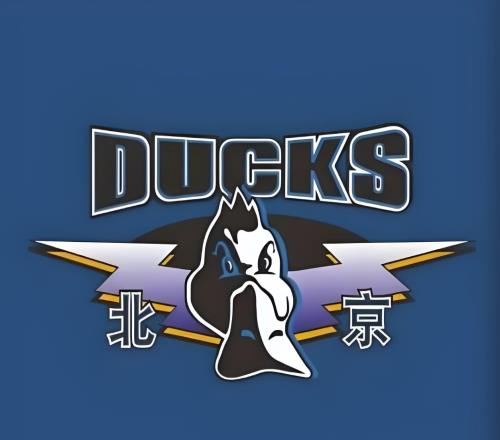 季孟年：北京队在这个夏天要继续加大投入，已经锁定1名国手