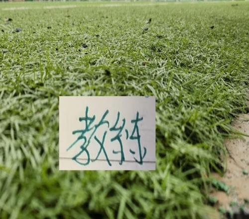 连续3年在申花身上拿分的深圳教练下课！下一位还能阻击蓝军吗