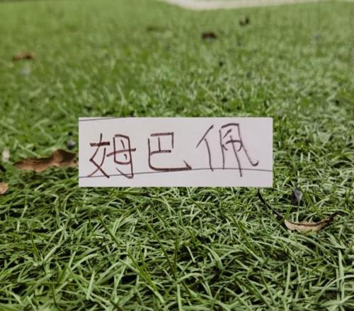 外媒评选：2026世界杯身价最高前10人没有C罗