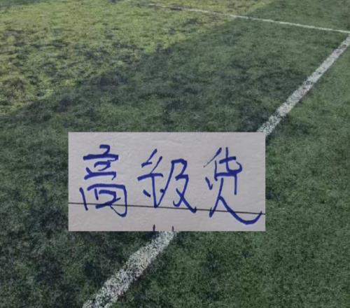 中超前15轮各队代表球星!大连马莱莱打出身价