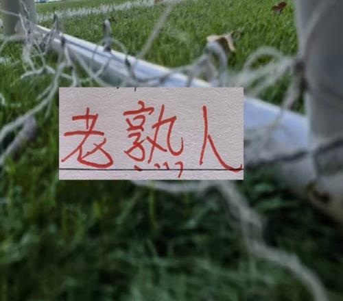 六月赛程!三大豪门再见老相识申花遇马莱莱