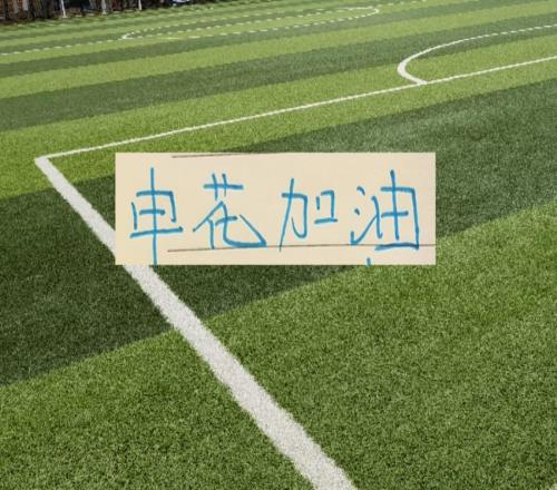 申花全队身价中超第二！但成绩并没体现关键还是外援上场率太低